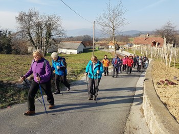 Po Trški gori do Hmeljnika Po Trški gori do Hmeljnika