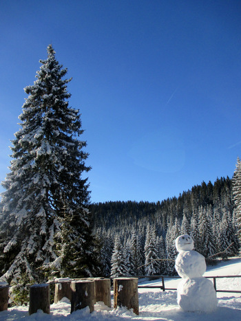 FOTOREPORTAŽA : Izlet PD Podpeč Preserje na Javorov vrh   26.2.2017