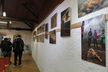 Odprli fotografsko razstavo o volku