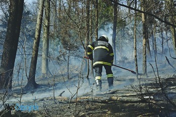 Zagorelo v Podolnici