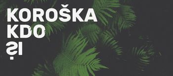 Koroška, kdo si?
