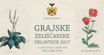 Grajska zeliščarska delavnica: sprehod po cvetočem travniku