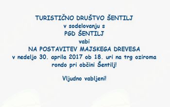 Postavitev majskega drevesa v Šentilju