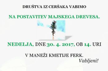 Postavitev majskega drevesa v Sladkem Vrhu