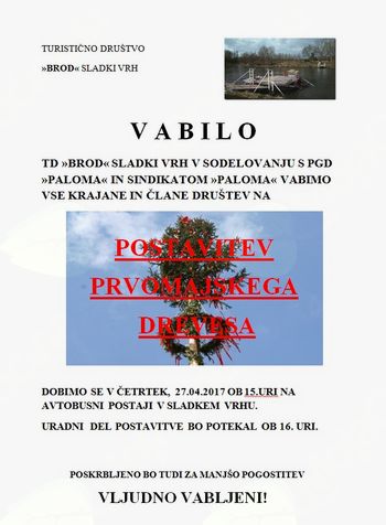 Postavitev majskega drevesa v Sladkem Vrhu