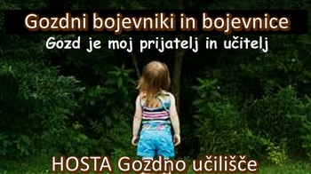 Gozdno učilišče