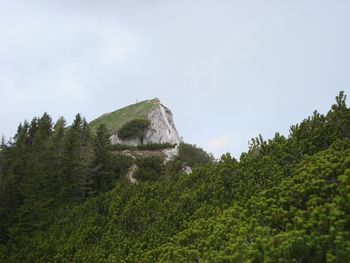 Planinski izlet na Trupejevo poldne