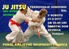 JU JITSU TEKMOVANJE MLADIH ZA POKAL KRAJEVNE SKUPNOSTI SEVNICA