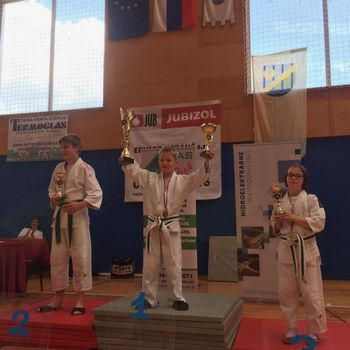 JU JITSU,  POKAL KS SEVNICA IN EKIPNO PRVENSTVO ŠOL