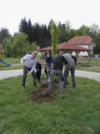 KIG Vrtcu Ig podaril drevesi