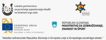 Kaj odlikuje mlade na trgu dela?