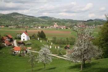 Občina Šentrupert praznuje