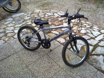 S kolesom varno v prometu