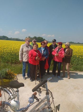 POHOD IN OGLED ČEBELARSKEGA MUZEJA