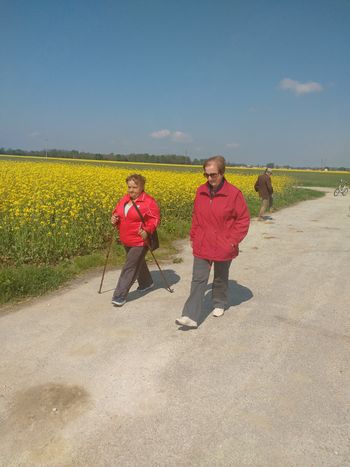 POHOD IN OGLED ČEBELARSKEGA MUZEJA