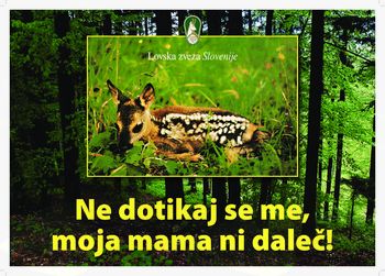 ROJSTVA V POMLADI