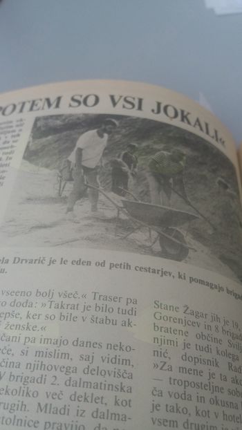 40. obletnica prve mladinske delovne akcije GORIČKO