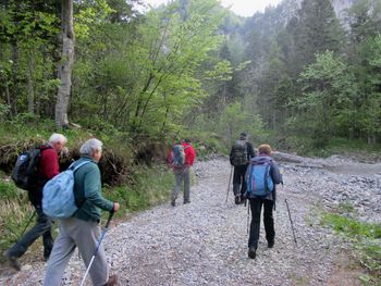 FOTOREPORTAŽA: PD Podpeč Preserje na Košutici 17. 5. 2017                        