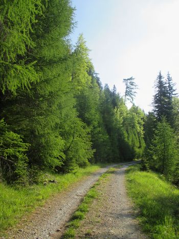 FOTOREPORTAŽA: PD Podpeč - Preserje na Kepi 28. 5. 2017