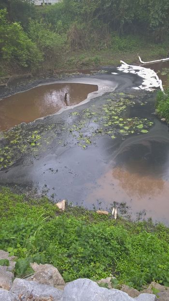 CIVILNA INICIATIVA SINJA GORICA