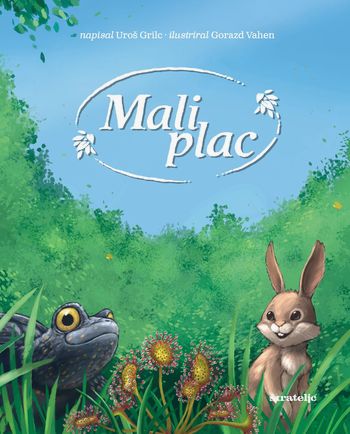 Slikanica Mali plac