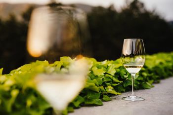  Okusi Vipavske 2017 - festival vina in kulinarike na dvorcu Zemono
