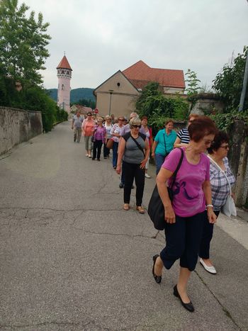 Izlet v Brežice in okolico
