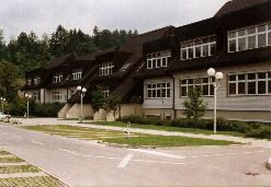 Sladke pijače – problem sodobnega časa