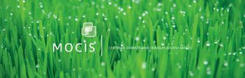 Odrasli uspešno zaključili programe na MOCIS-u