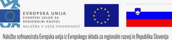  SPODBUJANJE PODJETNOSTI IN AKTIVIRANJE LOKALNIH ČLOVEŠKIH POTENCIALOV V MEŽIŠKI DOLINI