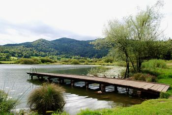 Jezero pri Podpeči skriva tisoč in en zaklad – ohranimo jih!