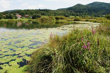 Jezero pri Podpeči skriva tisoč in en zaklad – ohranimo jih!