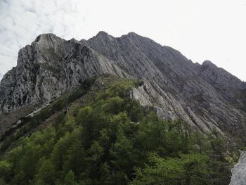 Planinski izlet - Amariana