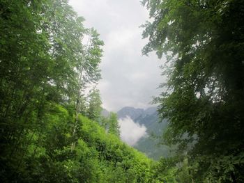 FOTOREPORTAŽA: PD Podpeč Preserje na Strelovcu 28. 6. 2017                        