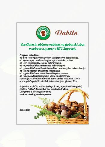 Gobarski zbor