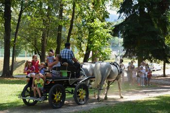 Koroški otroški festival