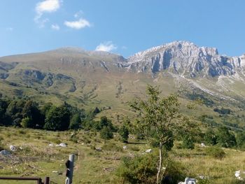 Krn (2244m)