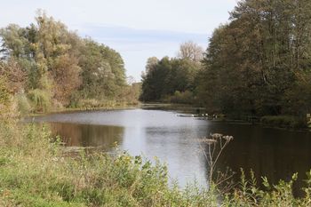 VOLILNI ODBORI