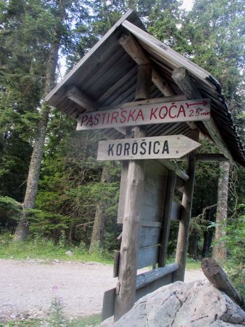 FOTOREPORTAŽA: PD Podpeč Preserje na Ojstrici  13. 8. 2017