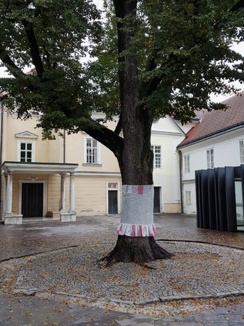 Rožnati oktober 2017