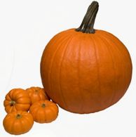 OKTOBER 2017  V OBČINSKI KNJIŽNICI PREBOLD