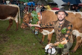 60. KRAVJI BAL V BOHINJU USPEŠNO POD DEŽNIKOM