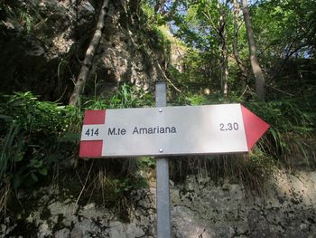 FOTOREPORTAŽA: PD Podpeč Preserje na Amariani  27. 8. 2017                        