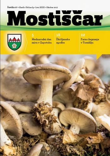 Mostiščar oktober 2017