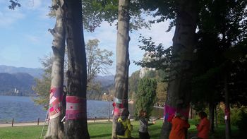 Rožnati oktober na Bledu