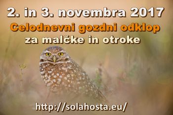 Novembrske počitnice v hosti