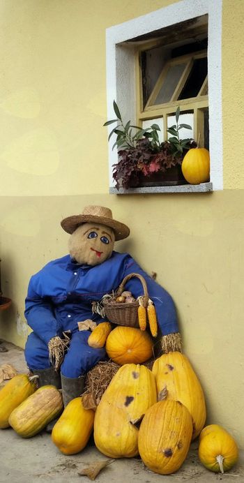 BUČE GOVORIJO