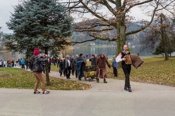 Alpski biseri, mobilnost, tuji študentje in martinovanje