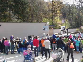 SREČANJE IN DRUŽENJE REJNIŠKIH DRUŽIN IN ČLANOV REJNIŠKEGA DRUŠTVA V LJUBLJANSKEM ŽIVALSKEM VRTU
