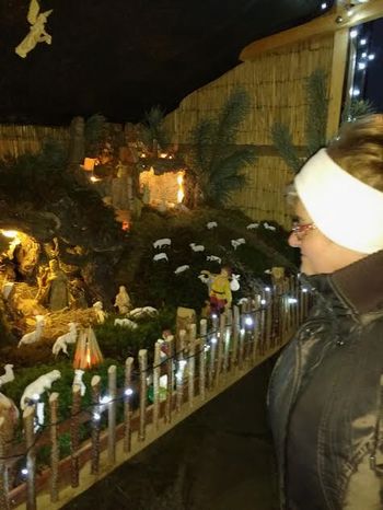 POHOD NA OGLED BOŽIČNE VASI